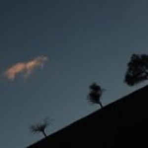 Meet your Posher, Cesar